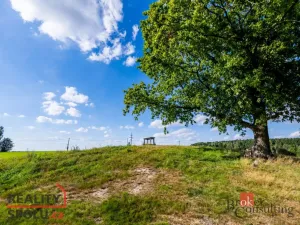 Prodej pole, Chrastava - Horní Chrastava, Frýdlantská, 11539 m2