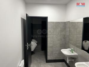 Pronájem skladu, Nupaky, Komerční, 829 m2