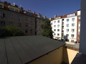 Pronájem bytu 1+kk, Praha - Žižkov, Jeseniova, 17 m2