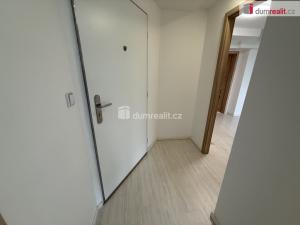Pronájem bytu 2+kk, Praha - Vinohrady, Lublaňská, 40 m2