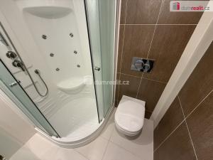 Pronájem bytu 2+kk, Praha - Vinohrady, Lublaňská, 40 m2