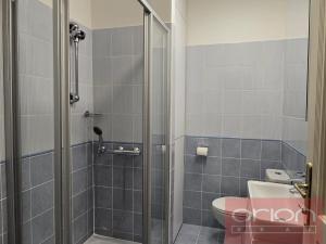 Pronájem bytu 3+kk, Praha - Staré Město, Bílkova, 72 m2