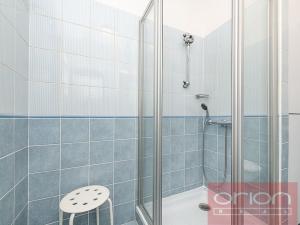 Pronájem bytu 3+kk, Praha - Staré Město, Bílkova, 73 m2