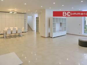 Pronájem rodinného domu, Brno, Pod Borovníkem, 330 m2