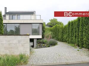 Pronájem rodinného domu, Brno, Pod Borovníkem, 330 m2