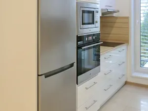 Pronájem rodinného domu, Brno, Pod Borovníkem, 330 m2