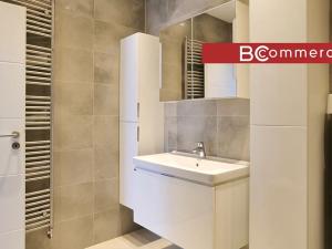 Pronájem rodinného domu, Brno, Pod Borovníkem, 330 m2