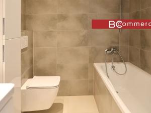 Pronájem rodinného domu, Brno, Pod Borovníkem, 330 m2