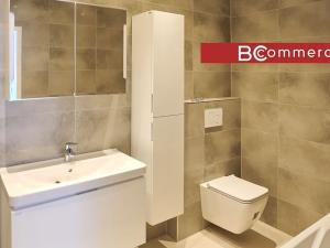 Pronájem rodinného domu, Brno, Pod Borovníkem, 330 m2