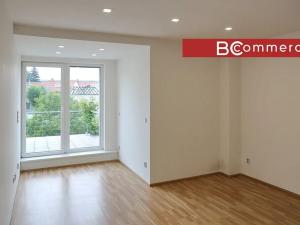 Pronájem rodinného domu, Brno, Pod Borovníkem, 330 m2