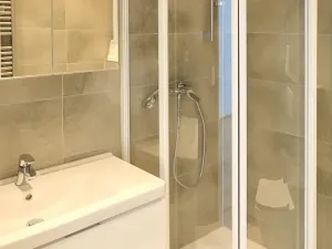Pronájem rodinného domu, Brno, Pod Borovníkem, 330 m2