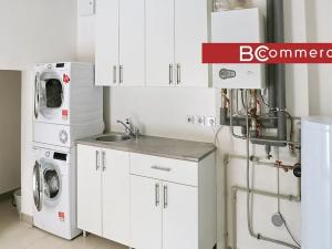 Pronájem rodinného domu, Brno, Pod Borovníkem, 330 m2