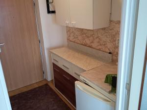 Prodej bytu 1+kk, Ostrava - Mariánské Hory, Baarova