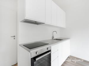 Pronájem bytu 1+kk, Tuchoměřice, V Kněžívce, 22 m2