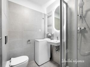 Pronájem bytu 1+kk, Tuchoměřice, V Kněžívce, 22 m2