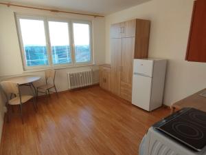 Pronájem bytu 1+kk, České Budějovice, U Trojice, 21 m2