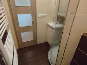 Pronájem bytu 1+kk, České Budějovice, U Trojice, 21 m2