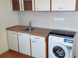 Pronájem bytu 1+kk, České Budějovice, U Trojice, 21 m2