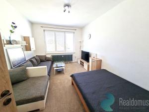 Pronájem bytu 1+kk, České Budějovice, Čéčova, 24 m2