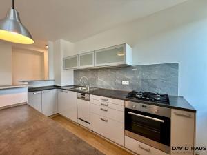 Pronájem bytu 2+kk, Brno - Staré Brno, Rybářská, 53 m2
