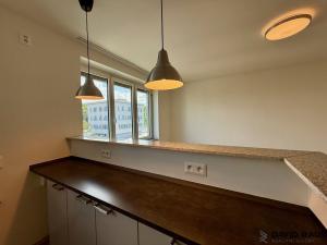 Pronájem bytu 2+kk, Brno - Staré Brno, Rybářská, 53 m2