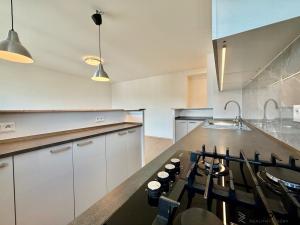 Pronájem bytu 2+kk, Brno - Staré Brno, Rybářská, 53 m2