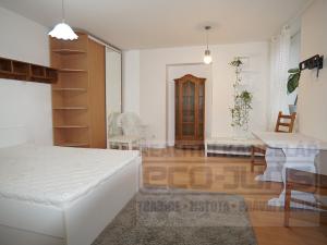 Pronájem bytu 1+kk, Červený Újezd, Hájecká, 46 m2