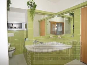 Pronájem bytu 1+kk, Červený Újezd, Hájecká, 46 m2