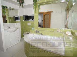 Pronájem bytu 1+kk, Červený Újezd, Hájecká, 46 m2