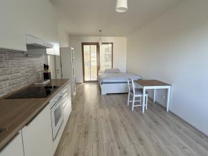 Pronájem bytu 1+kk, Praha - Modřany, Rorýsová, 39 m2