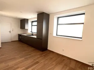 Pronájem bytu 2+kk, Lažany, 52 m2