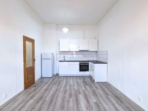 Pronájem bytu 1+1, Litoměřice, Turgeněvova, 35 m2