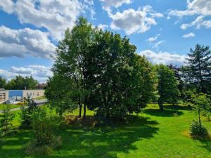 Prodej bytu 2+1, Česká Lípa, Zahradní, 59 m2