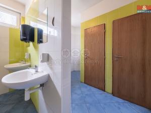 Pronájem skladu, Český Brod, Prokopa Velikého, 400 m2