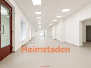Pronájem obchodního prostoru, Karviná - Nové Město, tř. Osvobození, 246 m2