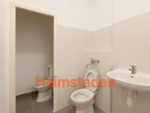 Pronájem obchodního prostoru, Karviná - Nové Město, tř. Osvobození, 246 m2