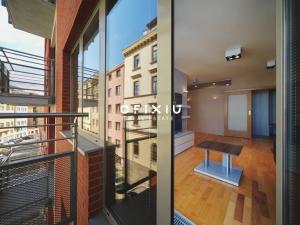 Pronájem bytu 1+kk, Brno - Staré Brno, Kopečná, 39 m2