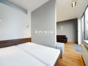 Pronájem bytu 1+kk, Brno - Staré Brno, Kopečná, 39 m2