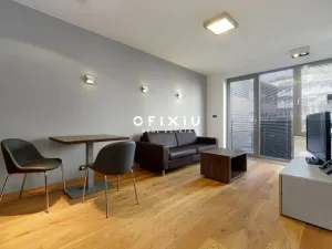 Pronájem bytu 1+kk, Brno - Staré Brno, Kopečná, 39 m2