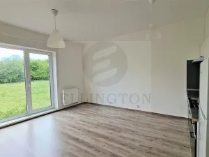 Pronájem bytu 1+kk, Praha - Chodov, Klapálkova, 32 m2