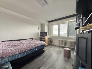 Pronájem bytu 2+1, Krnov - Pod Bezručovým vrchem, Albrechtická, 55 m2
