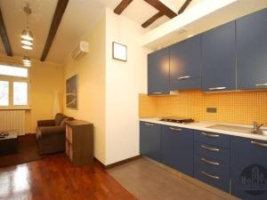Pronájem bytu 2+kk, Praha - Vinohrady, Řipská, 42 m2