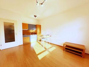 Pronájem bytu 1+kk, Průhonice, Školní, 1062 m2