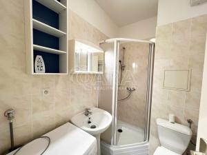 Pronájem bytu 1+kk, Průhonice, Školní, 1062 m2