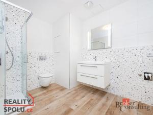 Pronájem bytu 1+kk, Plzeň, Železná, 40 m2