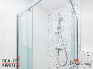 Pronájem bytu 1+kk, Plzeň, Železná, 40 m2