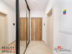 Pronájem bytu 1+kk, Plzeň, Železná, 40 m2