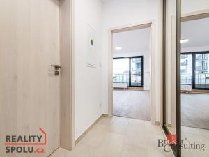 Pronájem bytu 1+kk, Plzeň, Železná, 40 m2