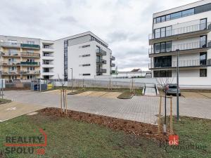Pronájem bytu 1+kk, Plzeň, Železná, 40 m2