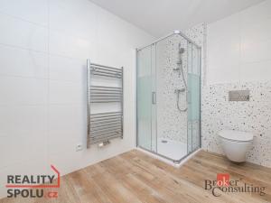 Pronájem bytu 1+kk, Plzeň, Železná, 40 m2